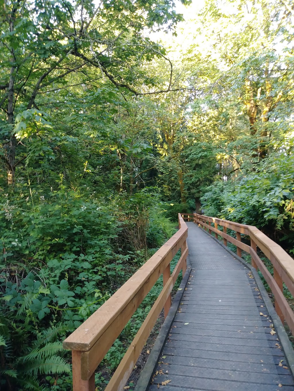 Nelson Nature Park | 2228 118th Ave E, Edgewood, WA 98372, USA | Phone: (253) 952-3299