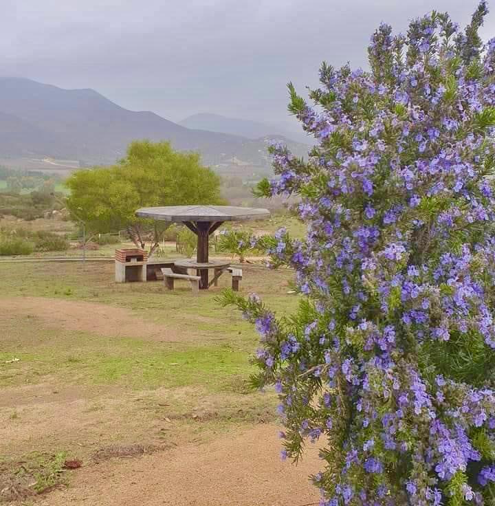 Rancho Valenzuela | 22766 Ejido El Porvenir (Guadalupe), Baja California, Mexico | Phone: 646 101 1422