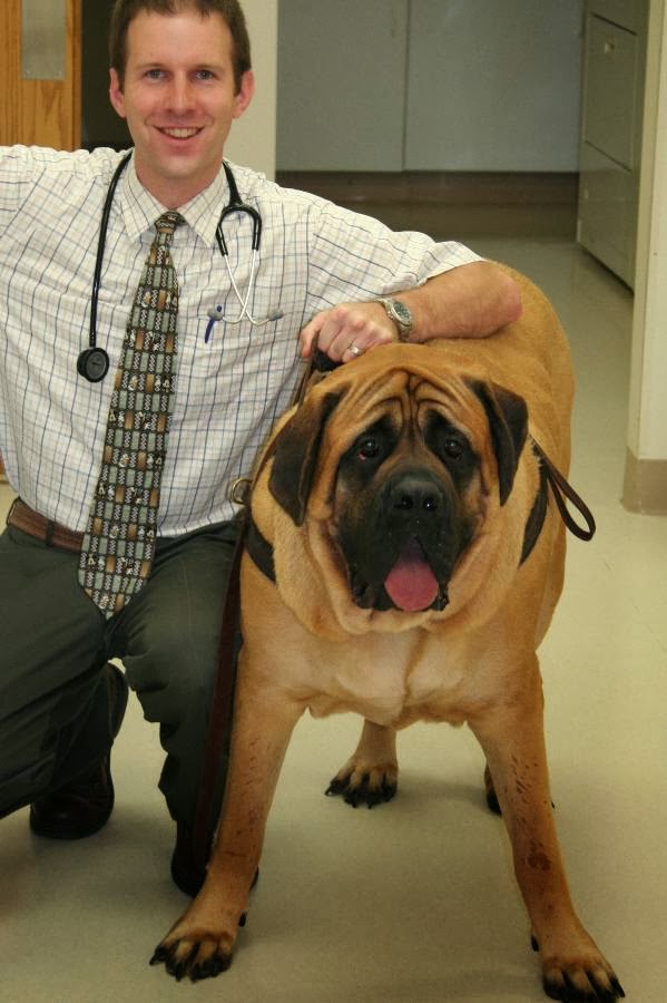 Cuyahoga Falls Veterinary Clinic: Gates Ryan G DVM | 3305 State Rd, Cuyahoga Falls, OH 44223, USA | Phone: (330) 929-3223