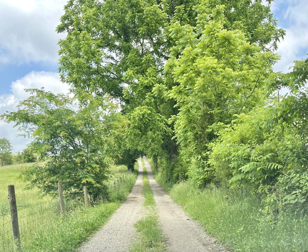 Chickapoo Farm-Country Escapes & Pick Your Own Gardens | 1167 Haley Rd, Shelbyville, KY 40065, USA | Phone: (502) 640-3033