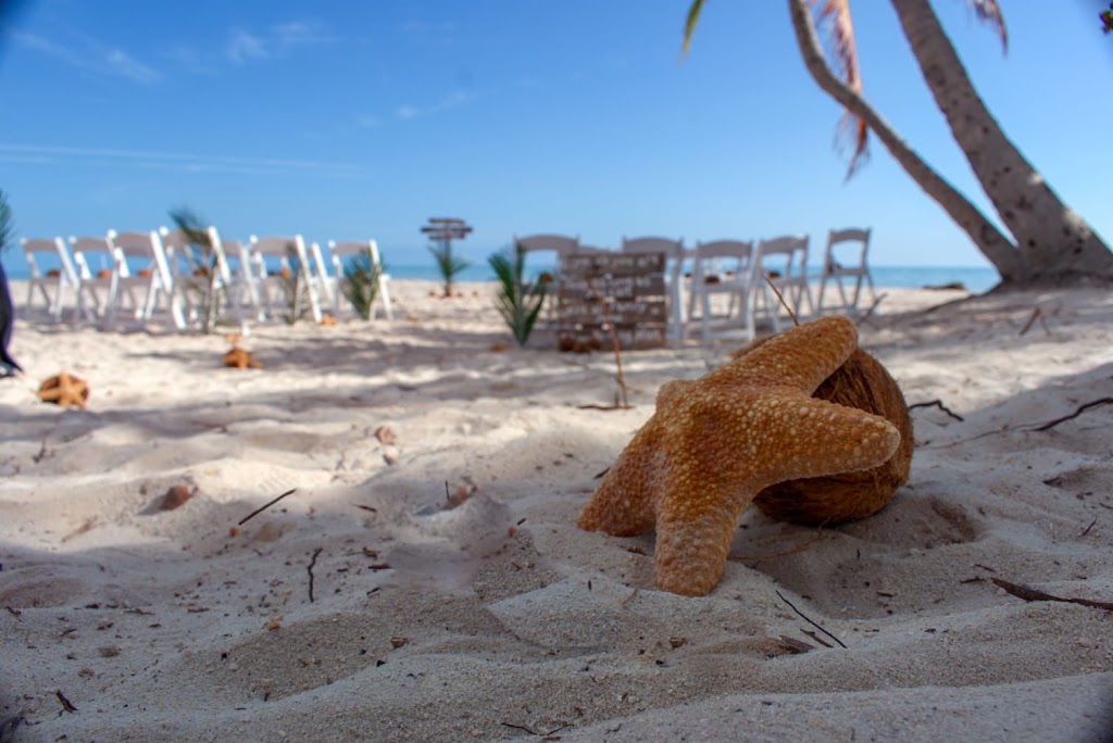 Atlantic Weddings & Events | 77522 Overseas Hwy, Islamorada, FL 33036, USA | Phone: (305) 664-8857