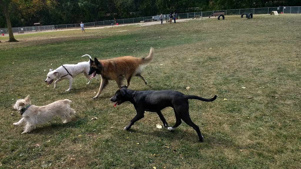 BARC - Akron Dog Park | 499 Memorial Pkwy, Akron, OH 44310, USA | Phone: (330) 510-1364