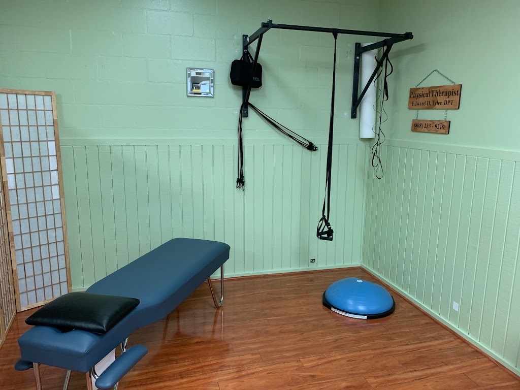 Eleu Physical Therapy | 47-388 Hui Iwa Street Suite #21B, Kaneohe, HI 96744, USA | Phone: (808) 233-9219