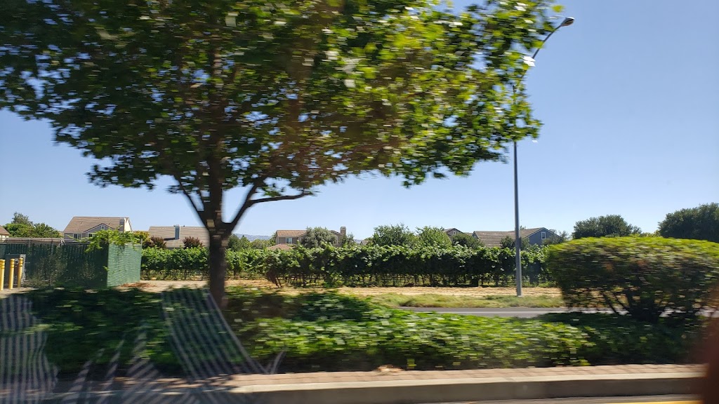 Westwinds Apartment Homes | 5639 Jacquiline Way, Livermore, CA 94550, USA | Phone: (925) 449-1088