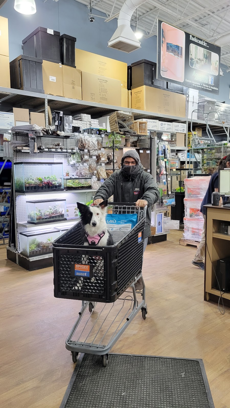 Petland Bolingbrook | The Promenade at Bolingbrook, Petland 744 E Boughton Rd, Bolingbrook, IL 60440, USA | Phone: (630) 739-1213