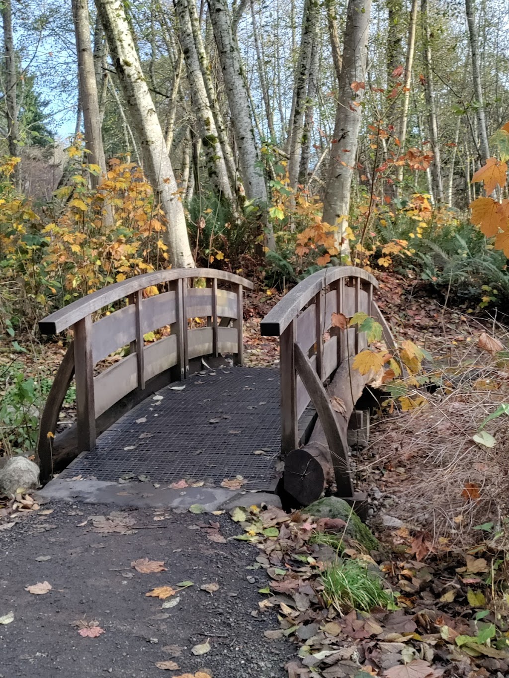 Blakely Harbor Park Trail | 10230 NE Country Club Rd, Bainbridge Island, WA 98110, USA | Phone: (206) 842-2306