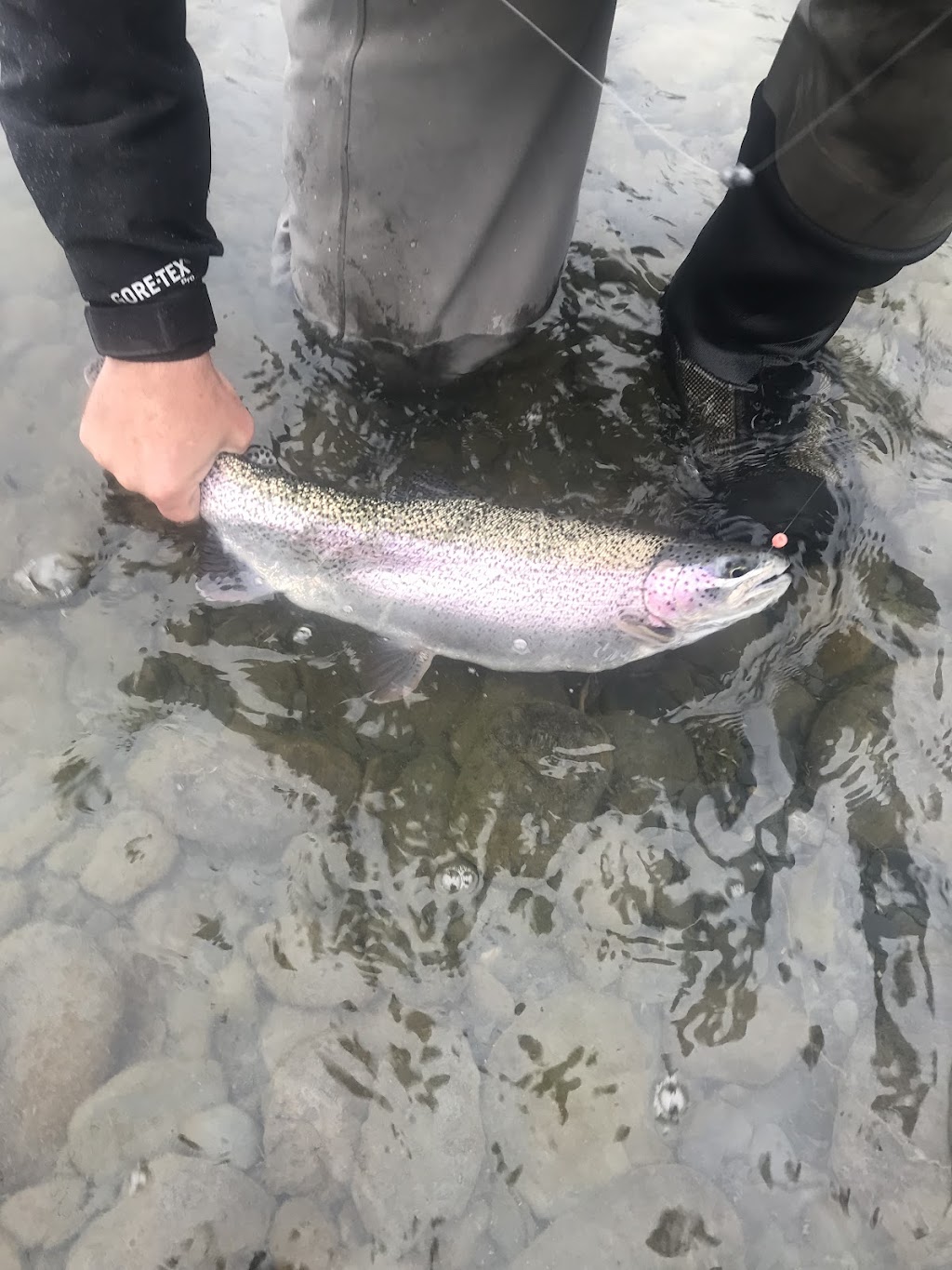 Mystic Waters Fly Fishing | kenai River, Cooper Landing, AK 99572, USA | Phone: (509) 715-9697