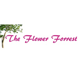 Flower Forrest | 7101 San Pedro Ave, San Antonio, TX 78216, United States | Phone: (210) 822-6766