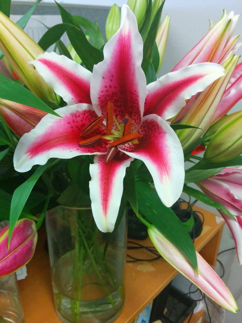Chavez Wholesale Flowers Inc. | 309 E I St, Ontario, CA 91764, USA | Phone: (909) 986-2456