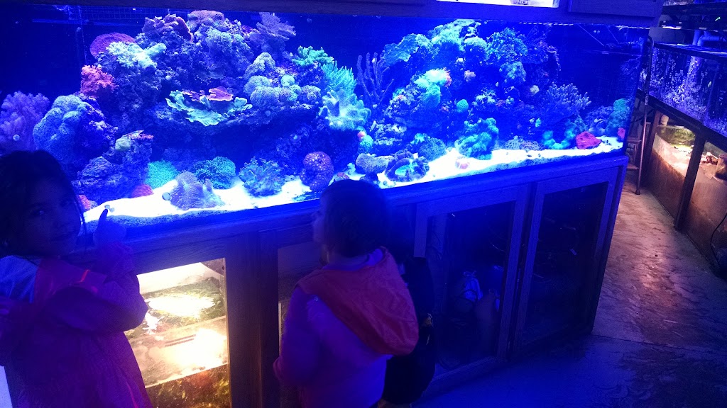 Barrier Reef Aquariums | 1717 Northeast 44th Street Behind, Ste A, Renton, WA 98056, USA | Phone: (425) 277-7670