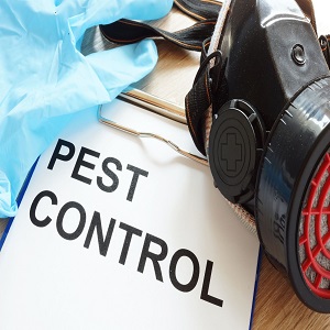 Cocopah Pest Control Solutions | 3325 S Ave 8 E, Yuma, AZ 85365, United States | Phone: (928) 970-5328