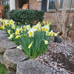 Brookside Mountain Mist Inn | 142 Country Club Dr, Waynesville, NC 28786, United States | Phone: (828) 452-6880