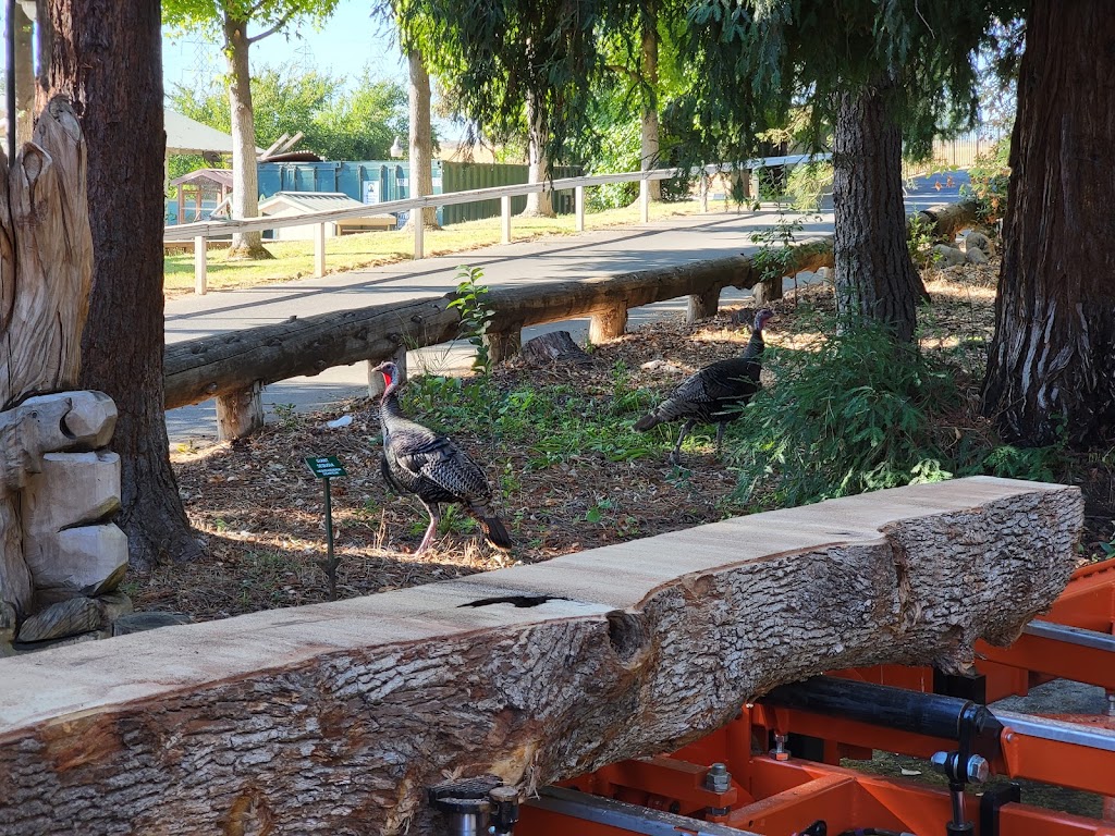 California Forest Center | 1600 Exposition Blvd, Sacramento, CA 95815, USA | Phone: (866) 241-8733