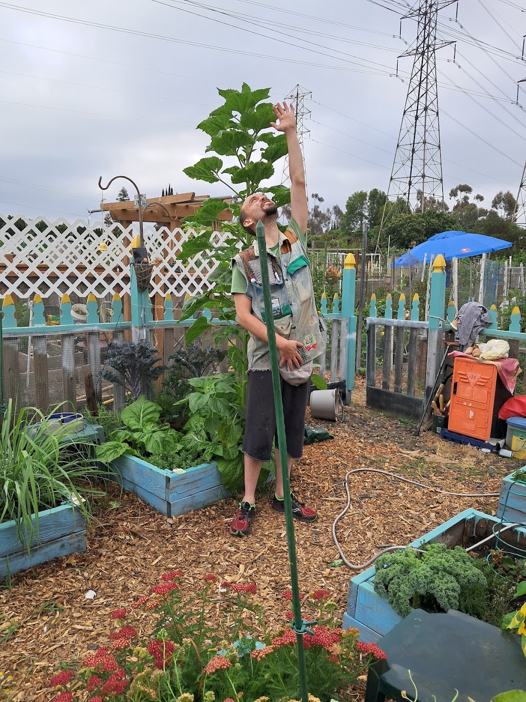 Seal Beach Community Garden | Seal Beach, CA 90740, USA | Phone: (562) 431-2527