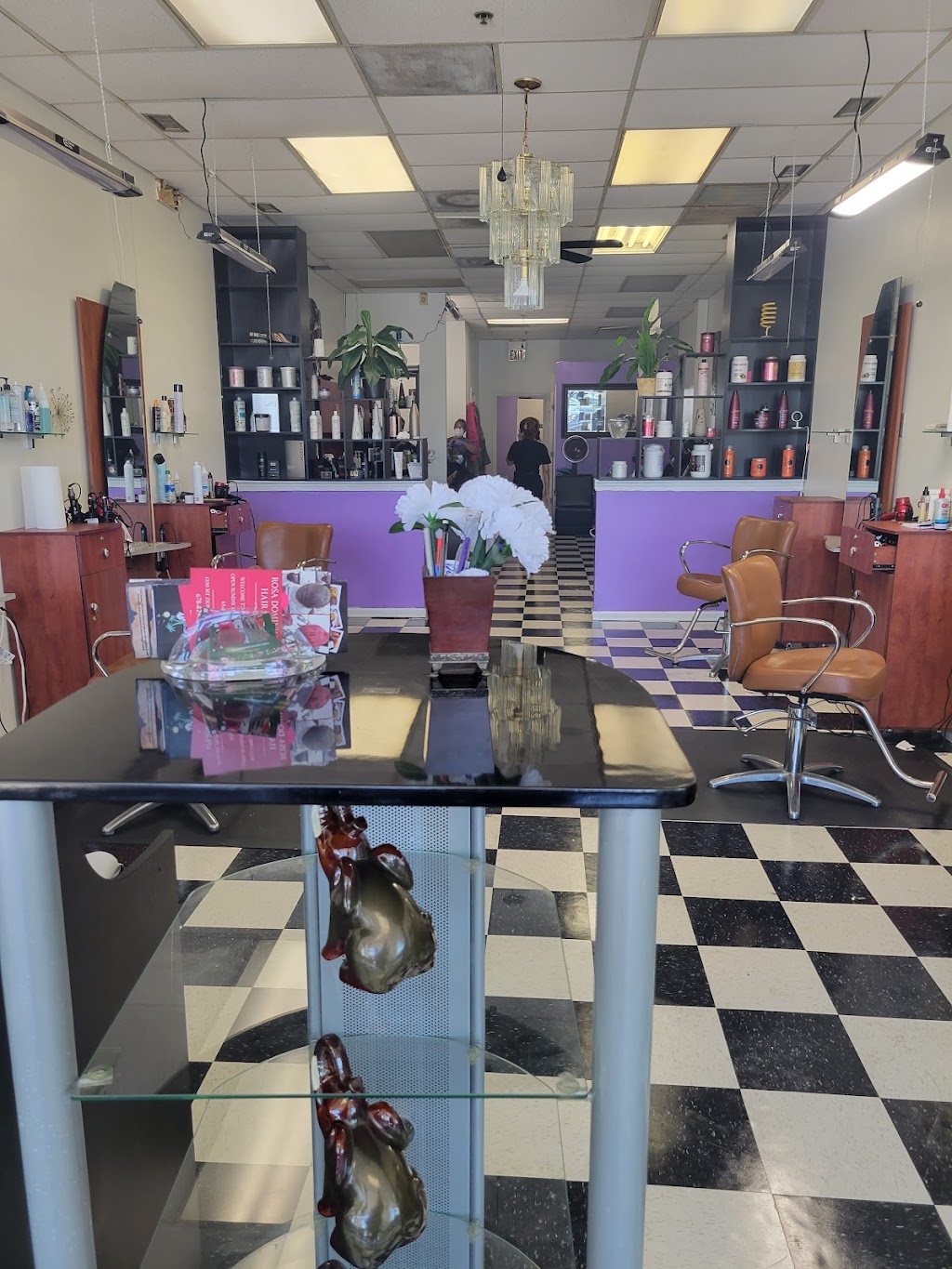 ROSA DOMINICAN HAIR SALON | 1330 Mt Zion Rd, Morrow, GA 30260, USA | Phone: (678) 829-3860