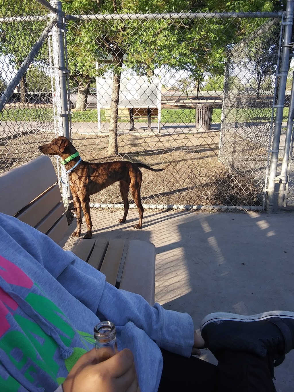 Rotary Dog Park | 930 N Gateway Dr, Madera, CA 93637, USA | Phone: (559) 661-5495