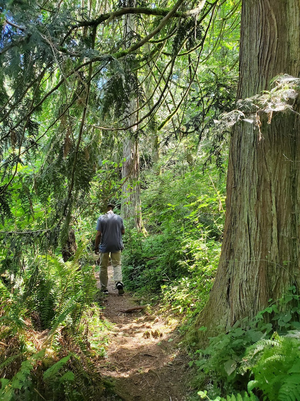 Deering Wild Flower Acres | 4708 79th Ave NE, Marysville, WA 98270, USA | Phone: (360) 363-8400