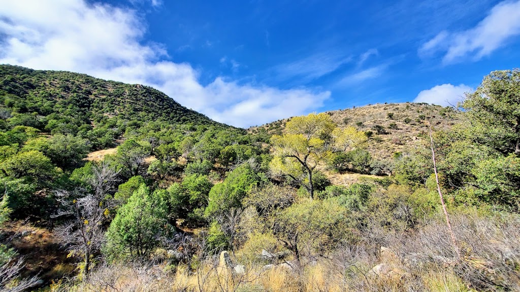 Whitehouse Picnic Area | S Madera Canyon Rd, Green Valley, AZ 85614, USA | Phone: (520) 281-2296