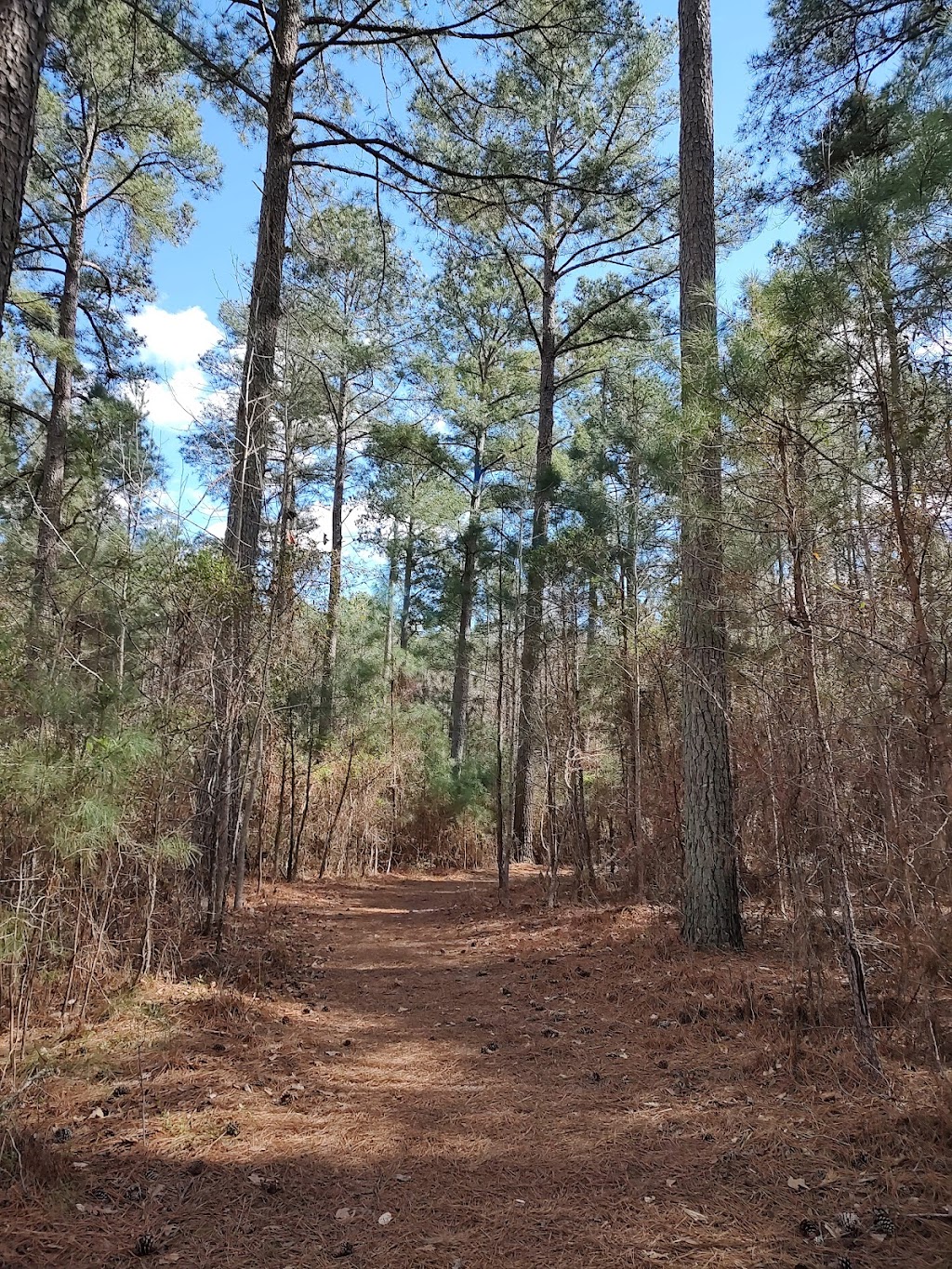 Jordan Lake Educational State Forest | 2832 Big Woods Rd, Chapel Hill, NC 27517, USA | Phone: (919) 542-1154