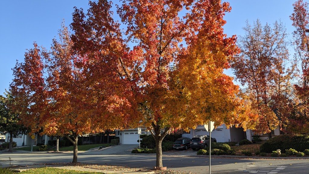 Fred E. Weibel Elementary School | 45135 S Grimmer Blvd, Fremont, CA 94539, USA | Phone: (510) 651-6958