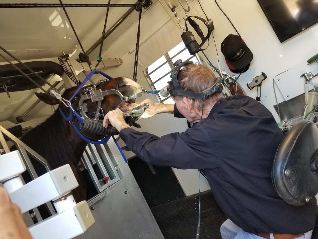 Richard O.Miller,DVM | 31441 Santa Margarita Pkwy a215, Rancho Santa Margarita, CA 92688, USA | Phone: (949) 233-0707