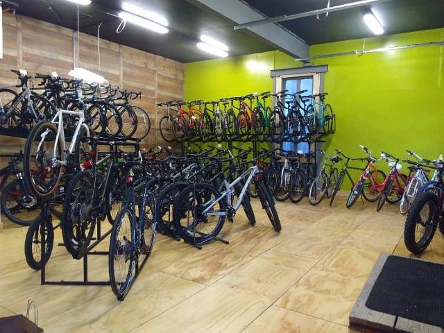 Revolution Bicycles | 388 Hasbrouck Ave, Kingston, NY 12401, USA | Phone: (845) 853-8300