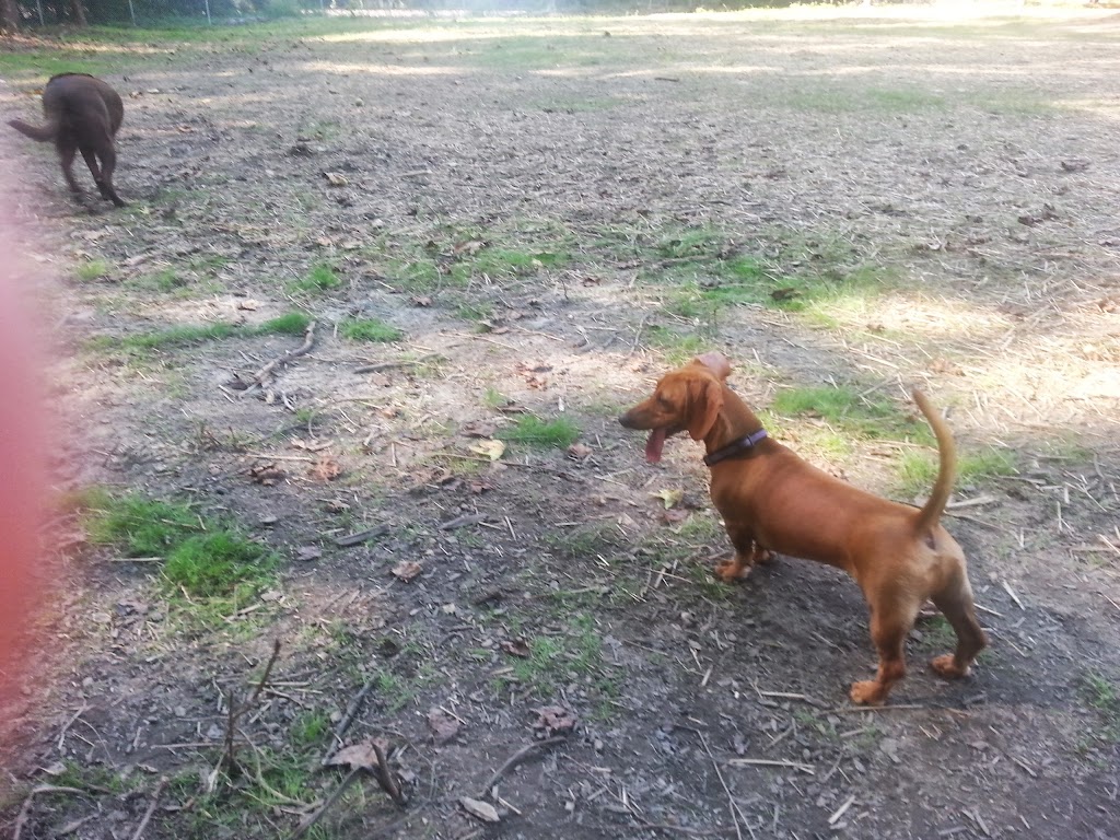 Fuquay-Varina Dog Park | 110 Woodland Dr, Fuquay-Varina, NC 27526, USA | Phone: (919) 552-1430