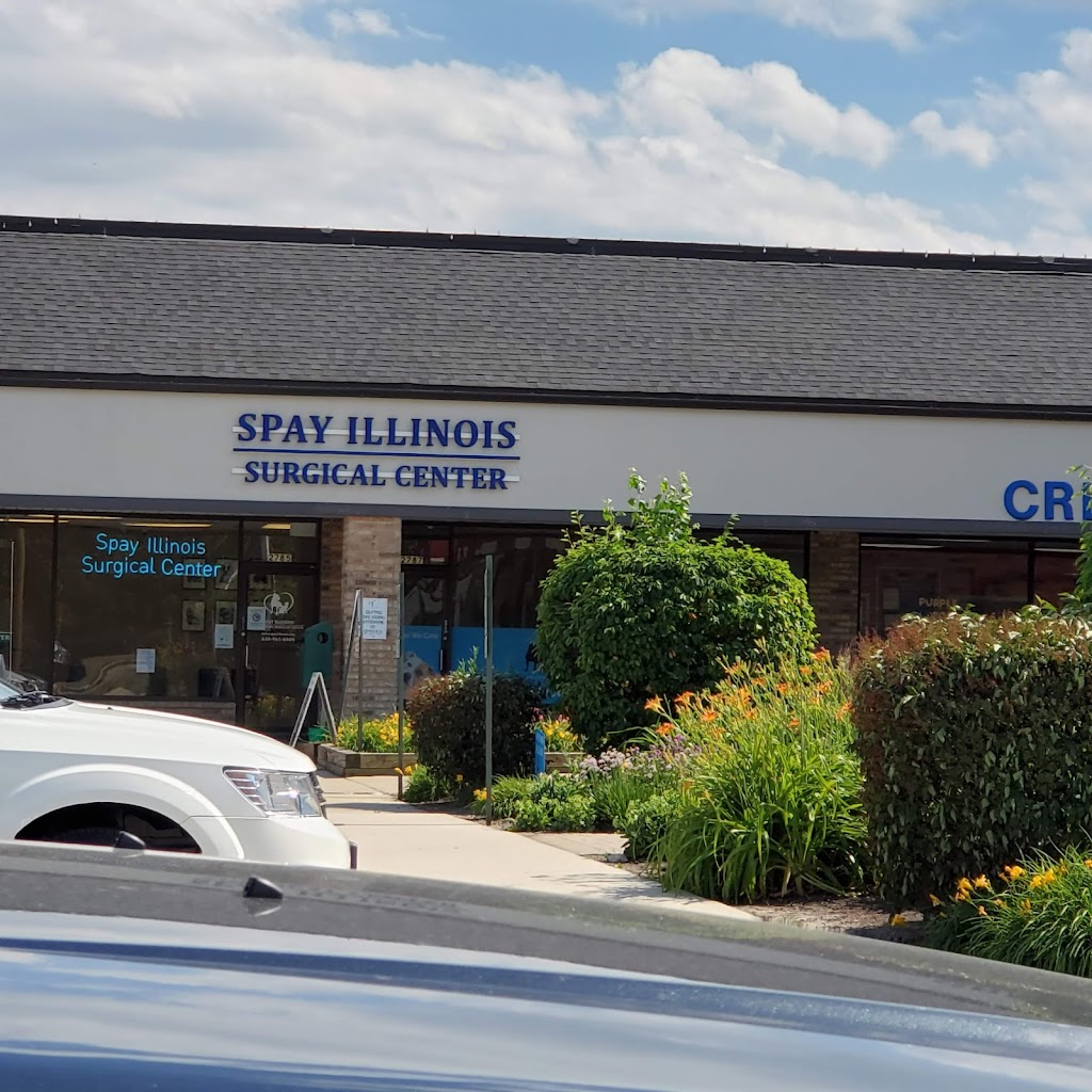 Spay Illinois Surgical Center | 2785 Maple Ave, Lisle, IL 60532, USA | Phone: (630) 961-8000