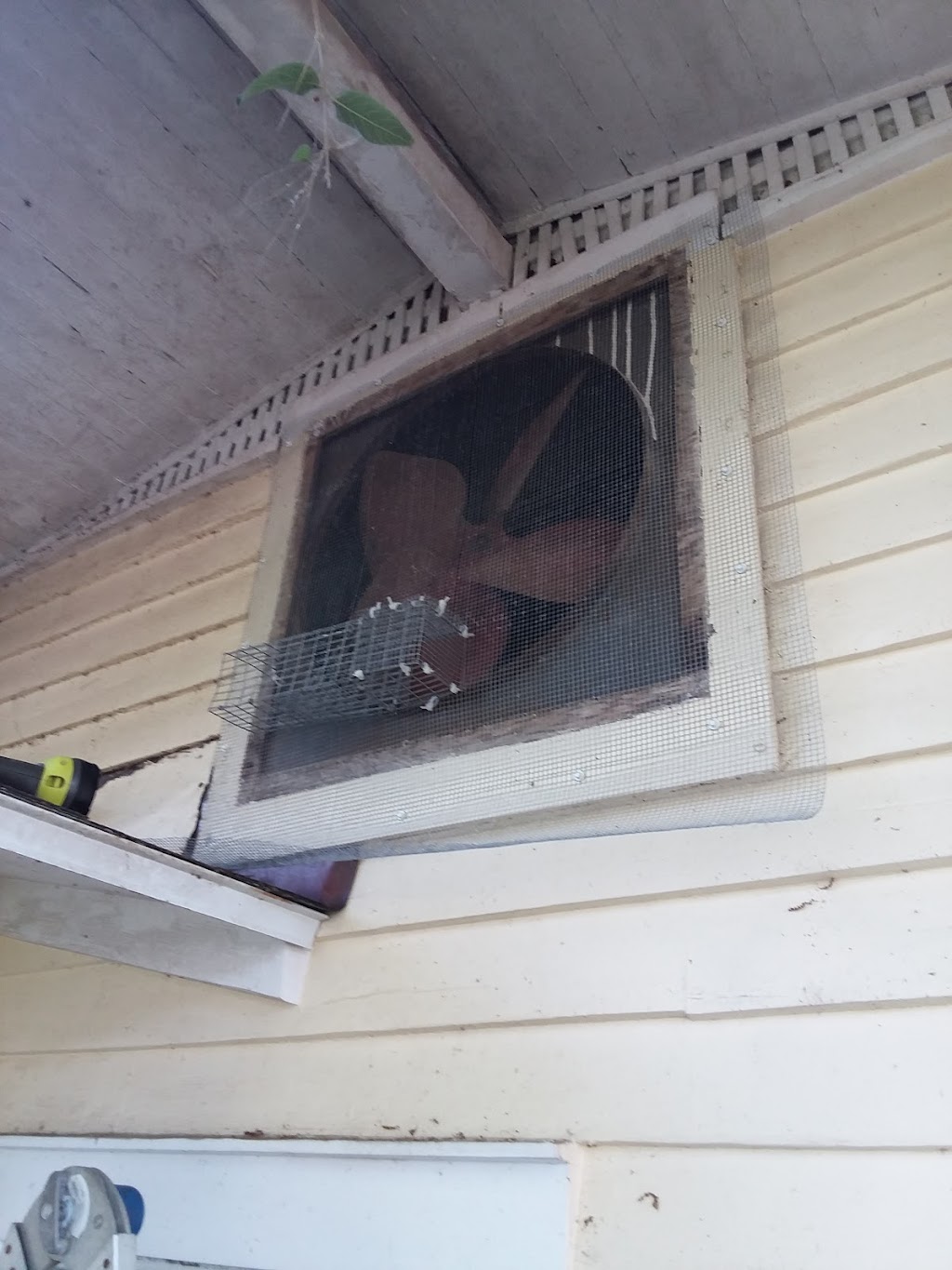 Ramson Services, inc. | 6348 Rocky Point Rd, Lake Wales, FL 33898, USA | Phone: (863) 232-9153