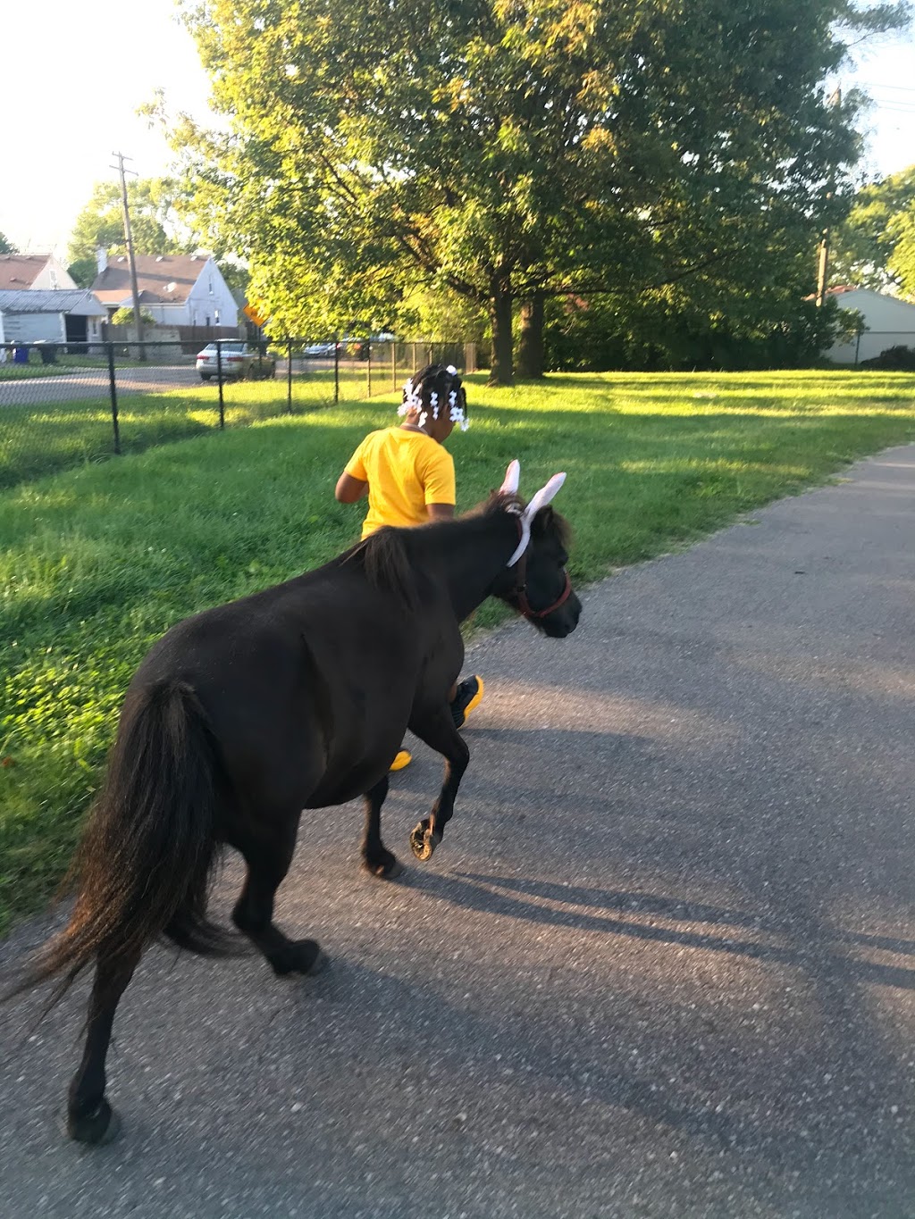 Ponies "R" Us & Mobile Petting Zoo | 28400 Grix Rd, New Boston, MI 48164, USA | Phone: (734) 740-5831