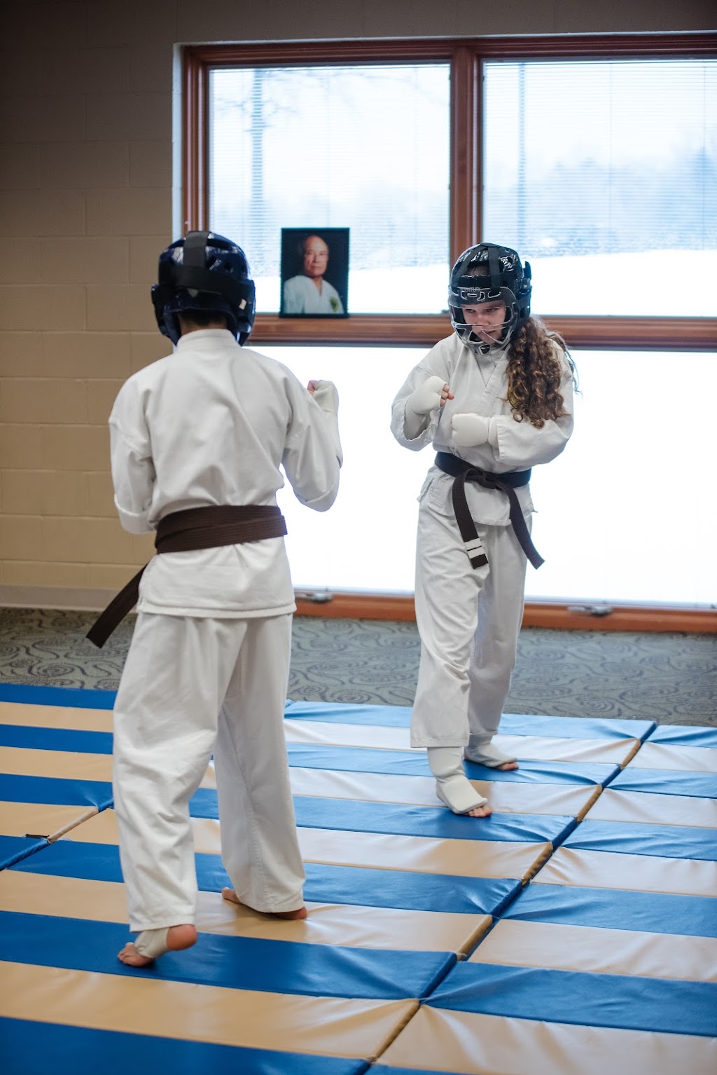 Karate Shorin | 855 Weymouth Rd, Medina, OH 44256, USA | Phone: (330) 242-0950