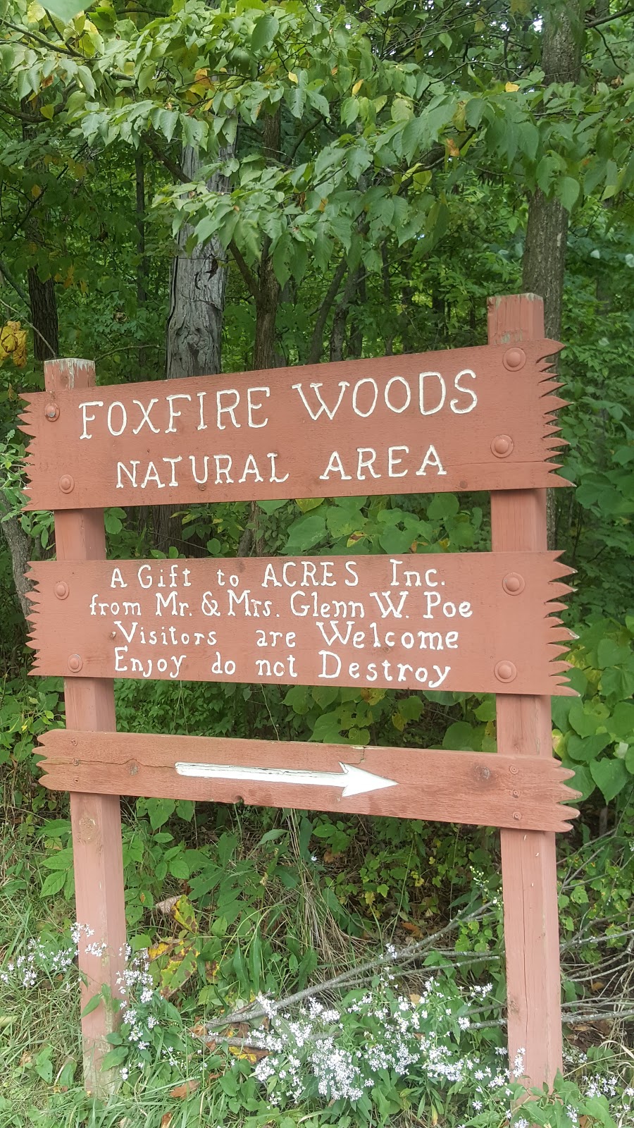 Fox Fire Woods Nature Preserve - Acres Land Trust | 17868 Hull Rd, Leo, IN 46765, USA | Phone: (260) 637-2273