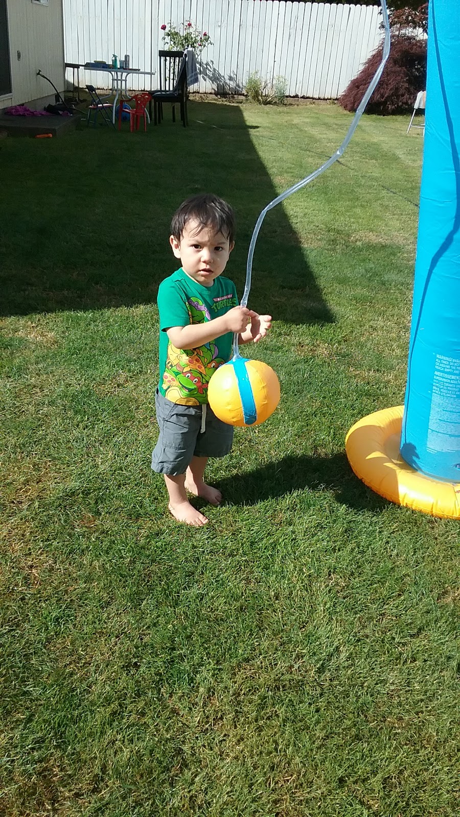 Freeborn Motors | 189 3rd St, Lafayette, OR 97127, USA | Phone: (503) 864-9099