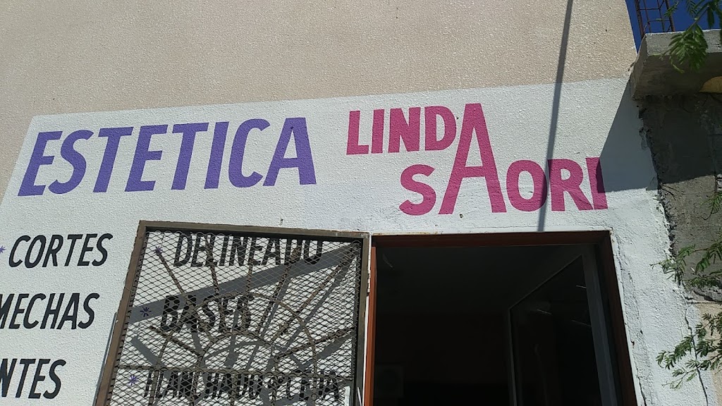 Abarrotes Linda | C. Guayaquil s/n, 32575 Cd Juárez, Chih., Mexico | Phone: 656 214 4576