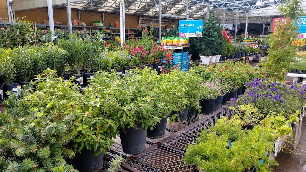 Lowes Garden Center | 1229 S Ellsworth Rd, Mesa, AZ 85209, USA | Phone: (480) 373-2440