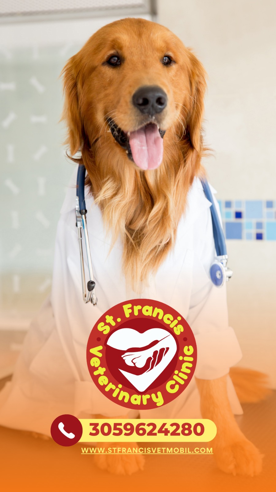 St Francis Vet Mobil | 11390 SW 87th Ave, Miami, FL 33176, USA | Phone: (305) 962-4280