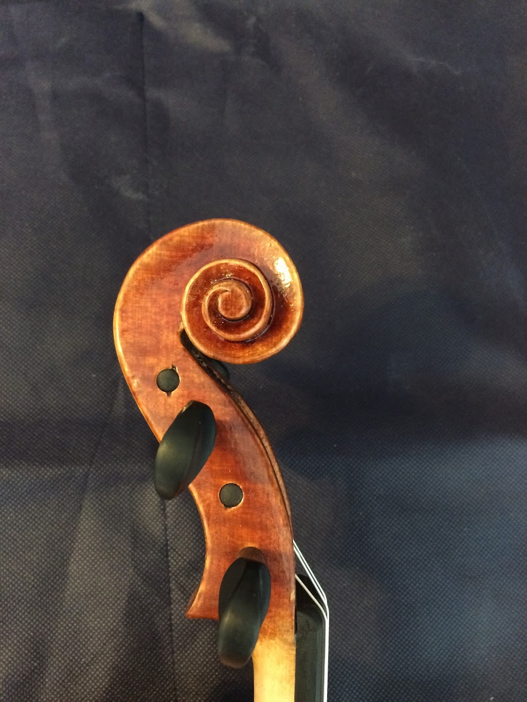 Howery Violins | Residence of Will Howery, 1325 Marian Dr, Fernandina Beach, FL 32034, USA | Phone: (904) 206-7734