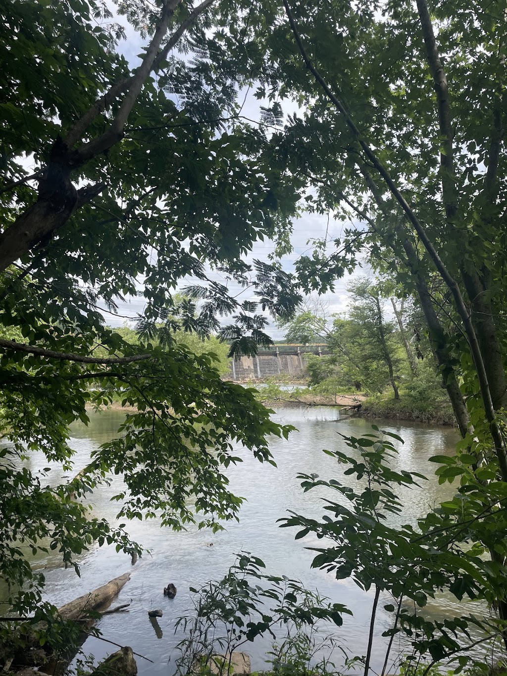 Johnson Ferry | 4630 Columns Dr SE, Marietta, GA 30067, USA | Phone: (678) 538-1200