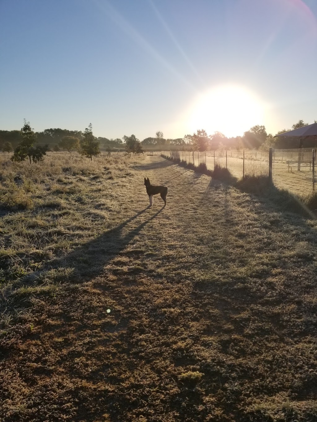 Paw Print Dog Park | 2701 S Oakhill Ave, Janesville, WI 53546, USA | Phone: (608) 755-3030