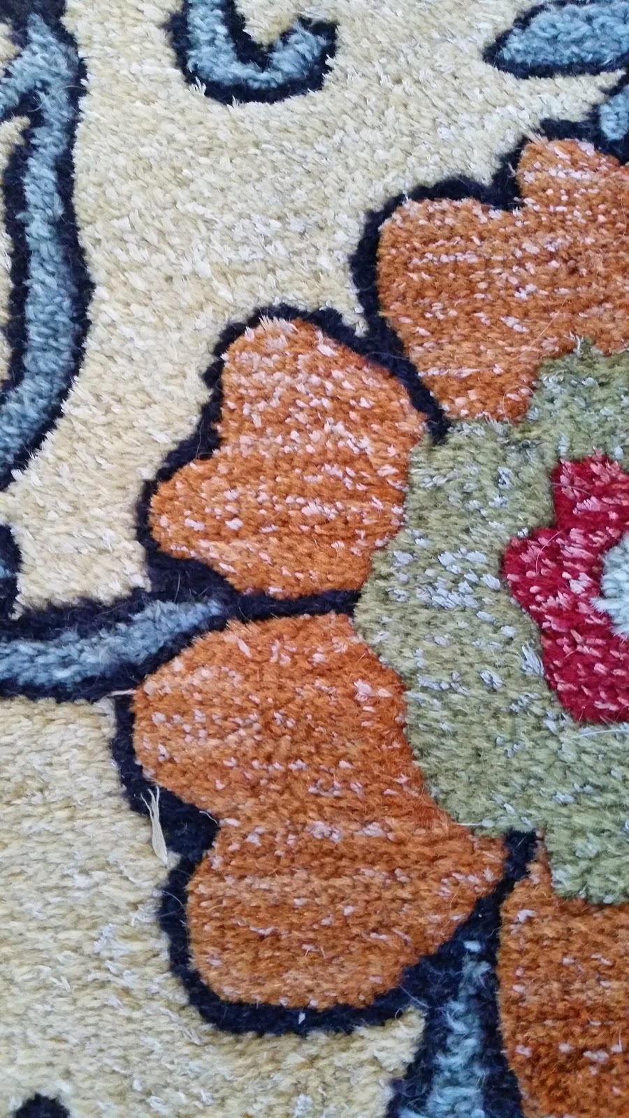 Supreme Carpet & Tile Care | 4914 Lena Rd, Bradenton, FL 34211, USA | Phone: (941) 896-4885