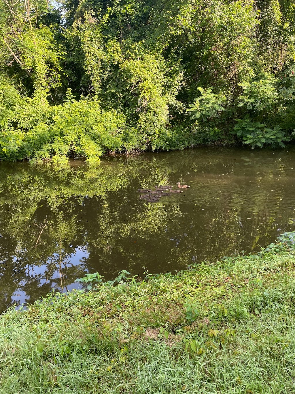 Delaware Canal State Park | D&L Trl, Levittown, PA 19055, USA | Phone: (610) 982-5560