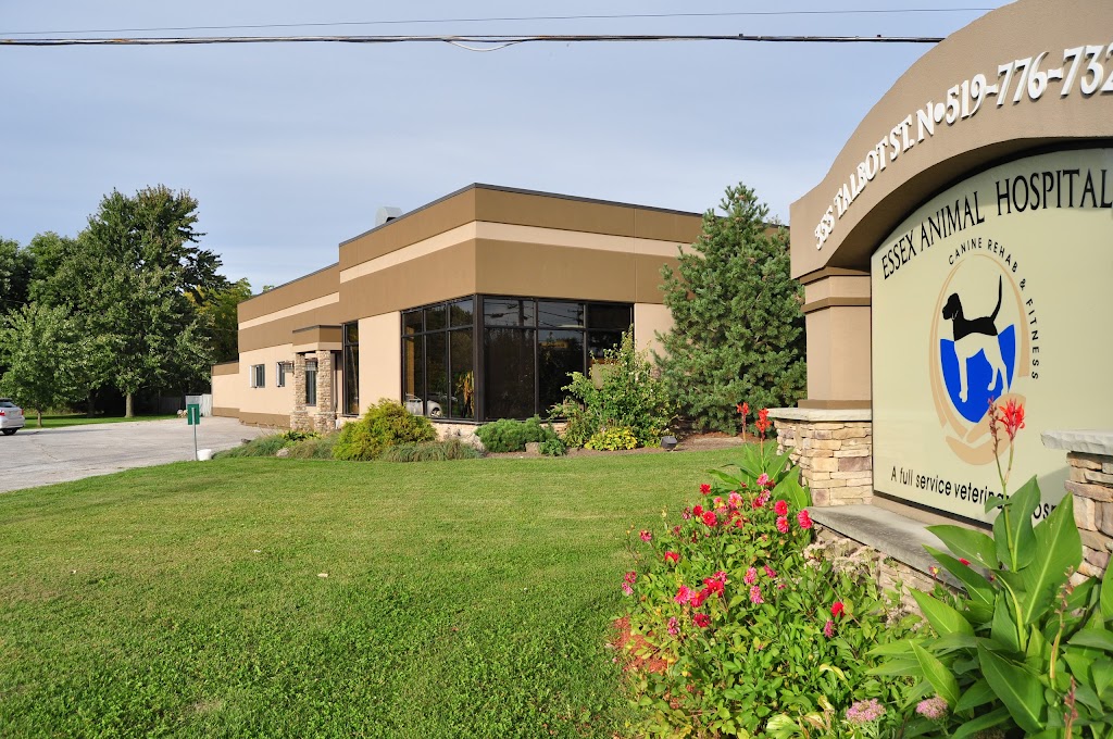 Essex Animal Hospital | 355 Talbot St N, Essex, ON N8M 2W3, Canada | Phone: (519) 776-7325