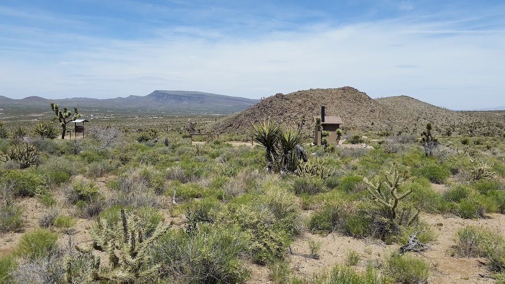 Mount Tipton Wilderness Area | Dolan Springs, AZ 86441, USA | Phone: (928) 718-3700