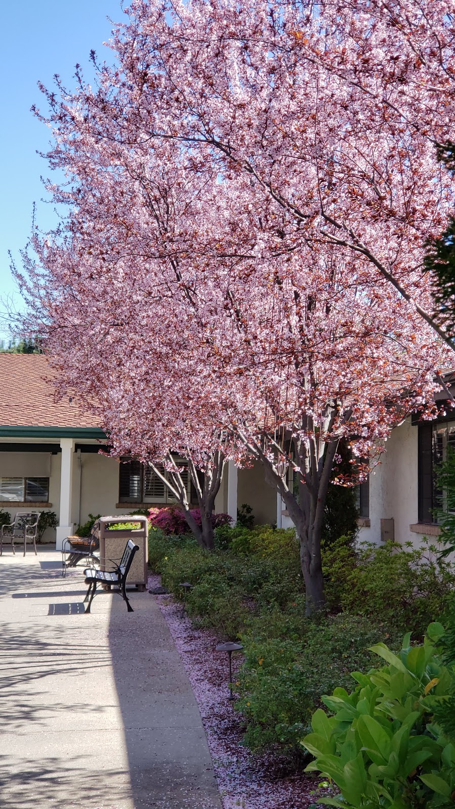 Pleasanton Nursing and Rehabilitation Center | 300 Neal St, Pleasanton, CA 94566, USA | Phone: (925) 462-2400