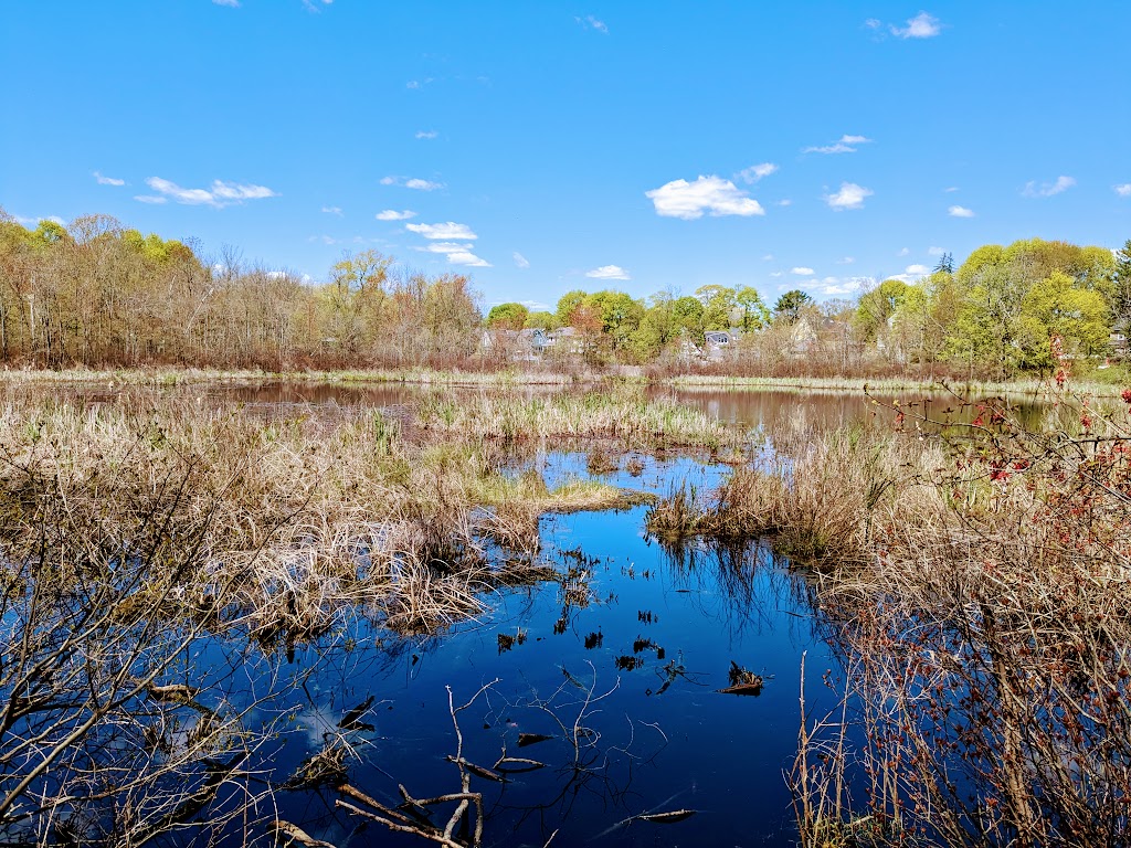 Ware Pond Conservation Area | 43 Marion Rd, Marblehead, MA 01945, USA | Phone: (781) 631-0000