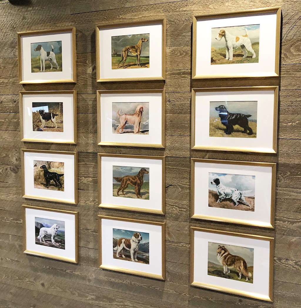 Good Dog Veterinary Care | 3894 Due W Rd NW Suite 250, Marietta, GA 30064, USA | Phone: (770) 450-4555