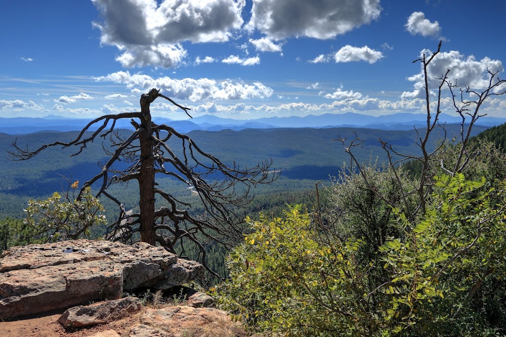 Tonto National Forest | Chandler, AZ 85224, USA | Phone: (602) 225-5200