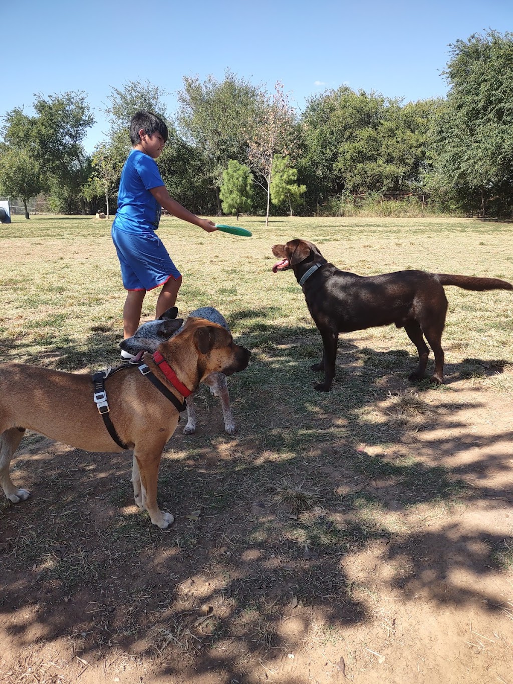 Norman Community Dog Park | 1001 E Robinson St, Norman, OK 73071, USA | Phone: (405) 249-7526