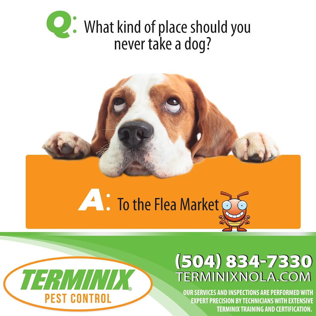 Terminix Northshore | 4990 LA-22 Suite A, Mandeville, LA 70471, USA | Phone: (985) 892-4450