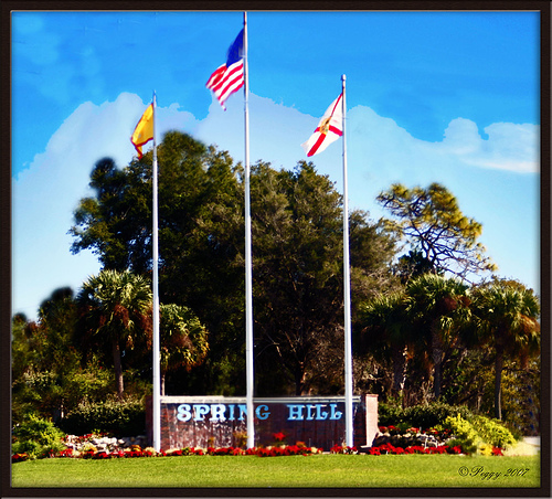 A Plus Realty Management | 5463 Spring Hill Dr, Spring Hill, FL 34606, USA | Phone: (352) 596-1119